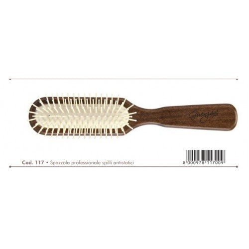 Guenzani Spazzola Professionale Spilli Antistatici