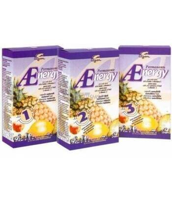 Elgon Kit Permanente Capelli Aenergy Formato monodose 100ml+100ml
