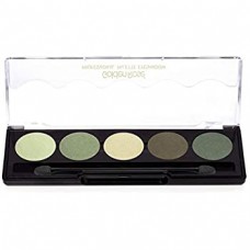 PROFESSIONAL PALETTE EYESHADOW GR